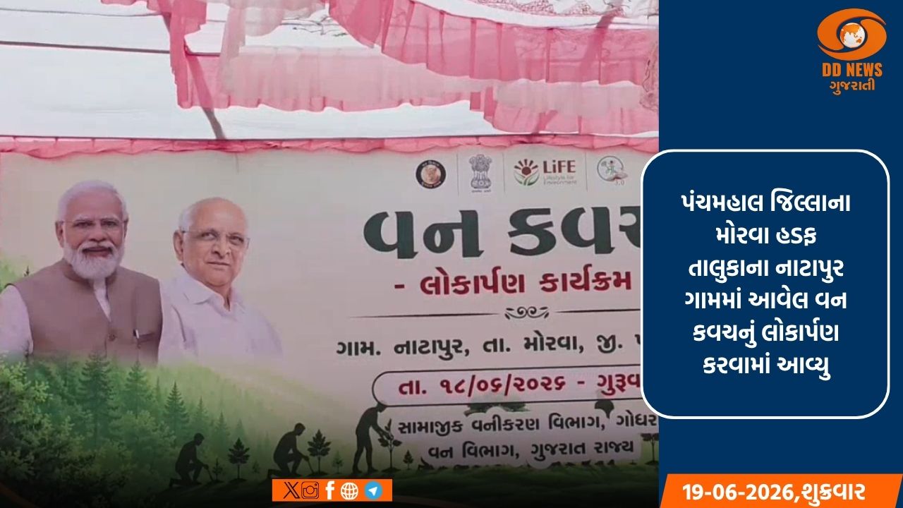 પંચમહાલ, મોરવા હડફ તાલુકામાં વનમંત્રીના હસ્તે મિયાવાકી વન કવચનું કરવામાં આવ્યુ લોકાર્પણ 