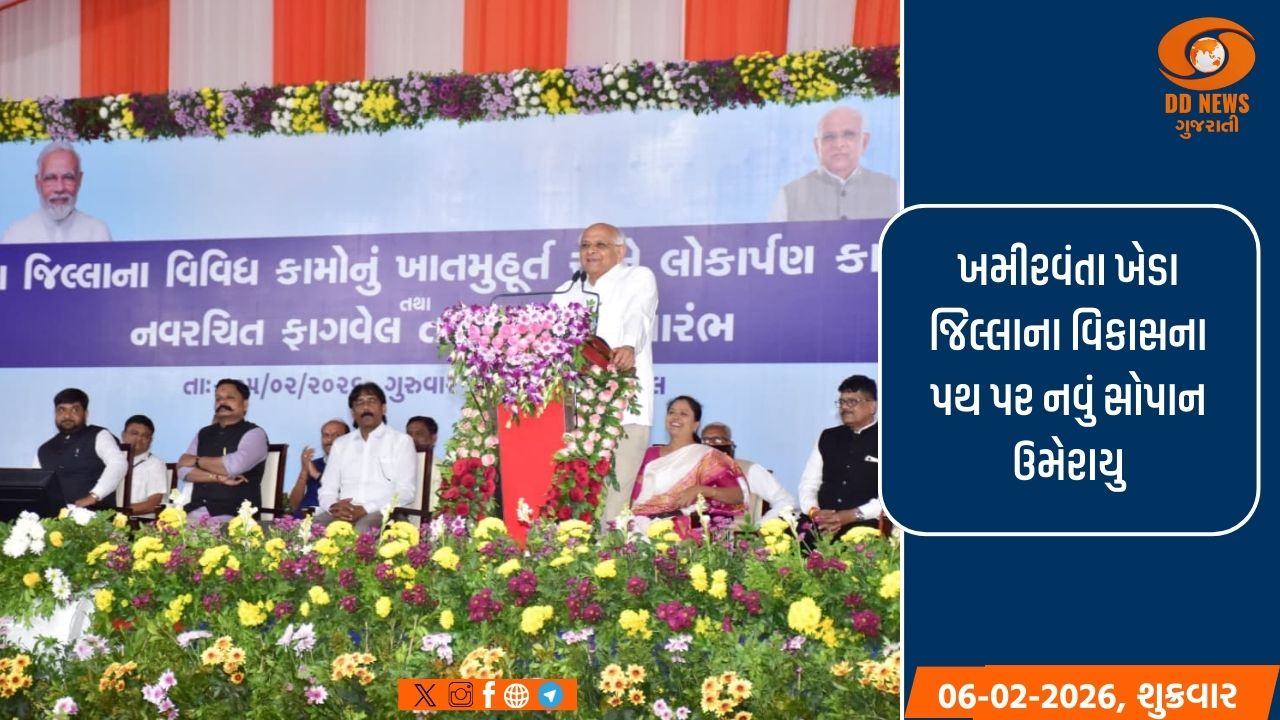 નડિયાદમાં મતદાન જાગૃતિ માટે ખાસ અભિયાન, 1000થી વધુ નાગરિકો ગરબાના તાલે ઝૂમ્યા