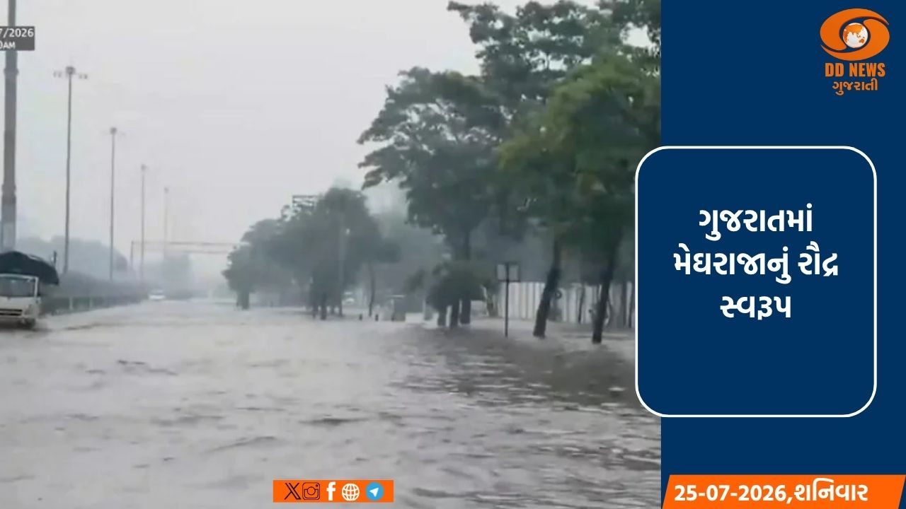 ગુજરાતમાં મેઘરાજાનું રૌદ્ર સ્વરૂપ: સાંતલપુરમાં 15 ઇંચ ખાબક્યો, ઉત્તર અને મધ્ય ગુજરાત જળબંબાકાર