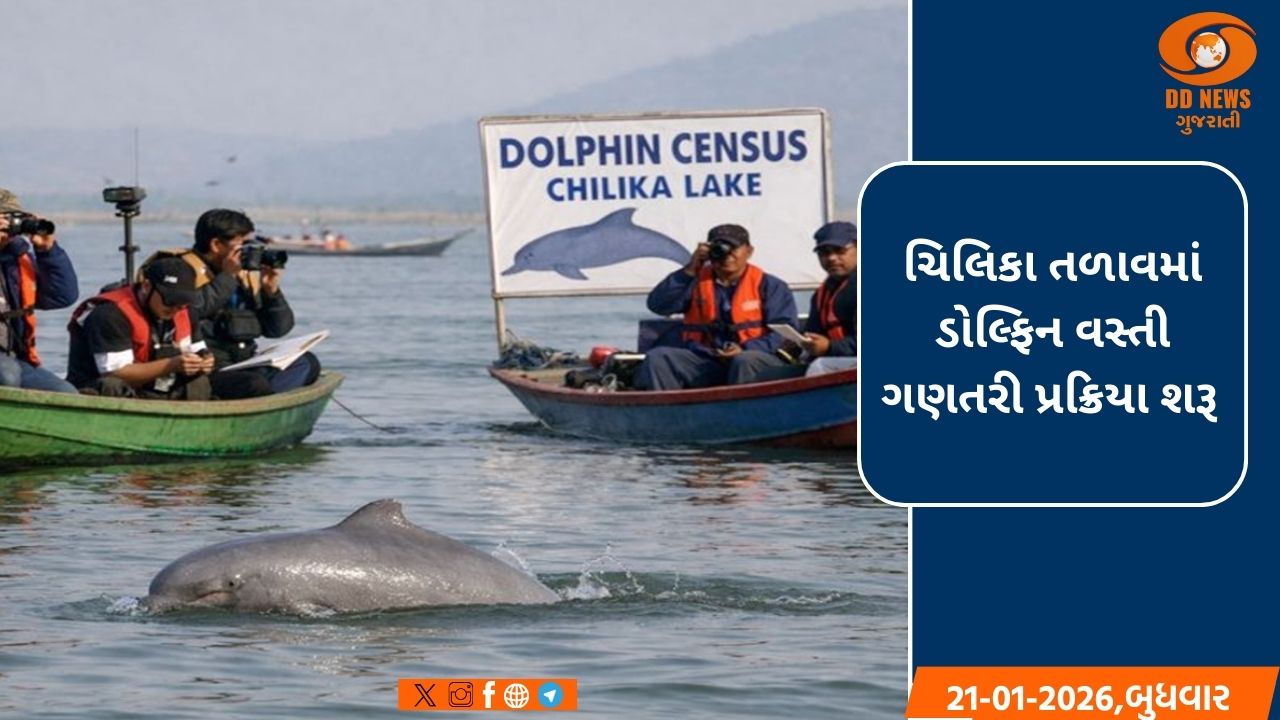 ચિલિકા તળાવમાં ડોલ્ફિનની વસ્તી ગણતરી શરૂ, 18 ટીમો ત્રણ દિવસ સુધી સર્વે કરશે