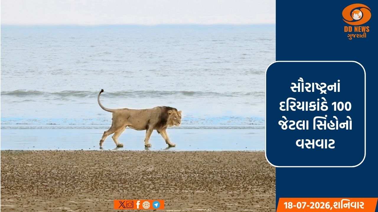 ગીરના સિંહો માટે નવી શોધ: પાલતુ પશુઓ નહીં, નીલગાય અને જંગલી ભૂંડ મુખ્ય ખોરાક