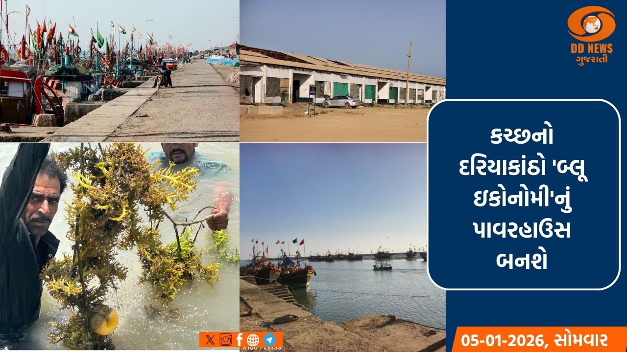 1600 કિમી લાંબો દરિયાકિનારો ધરાવતું ગુજરાત બનશે દેશના આર્થિક વિકાસનું પાવરહાઉસ