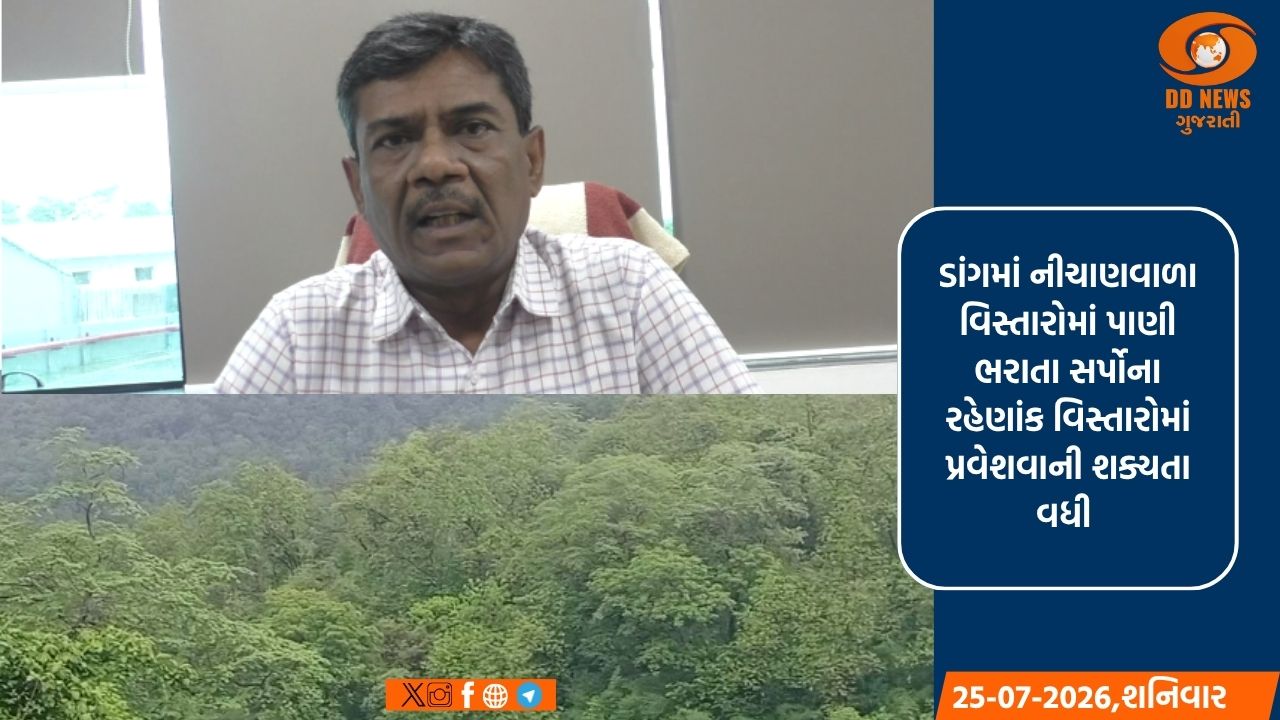 ડાંગ જિલ્લામાં ભારે વરસાદ વચ્ચે સર્પદંશની ઘટનાઓ વધતા તંત્રની સાવચેતીની અપીલ
