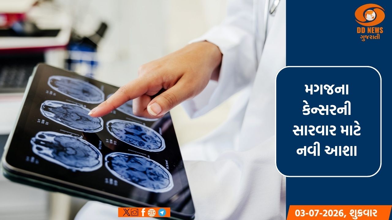 મગજના કેન્સરની સારવાર માટે નવી આશા: વિટામિન B12-આધારિત ઉપચાર પર સંશોધન
