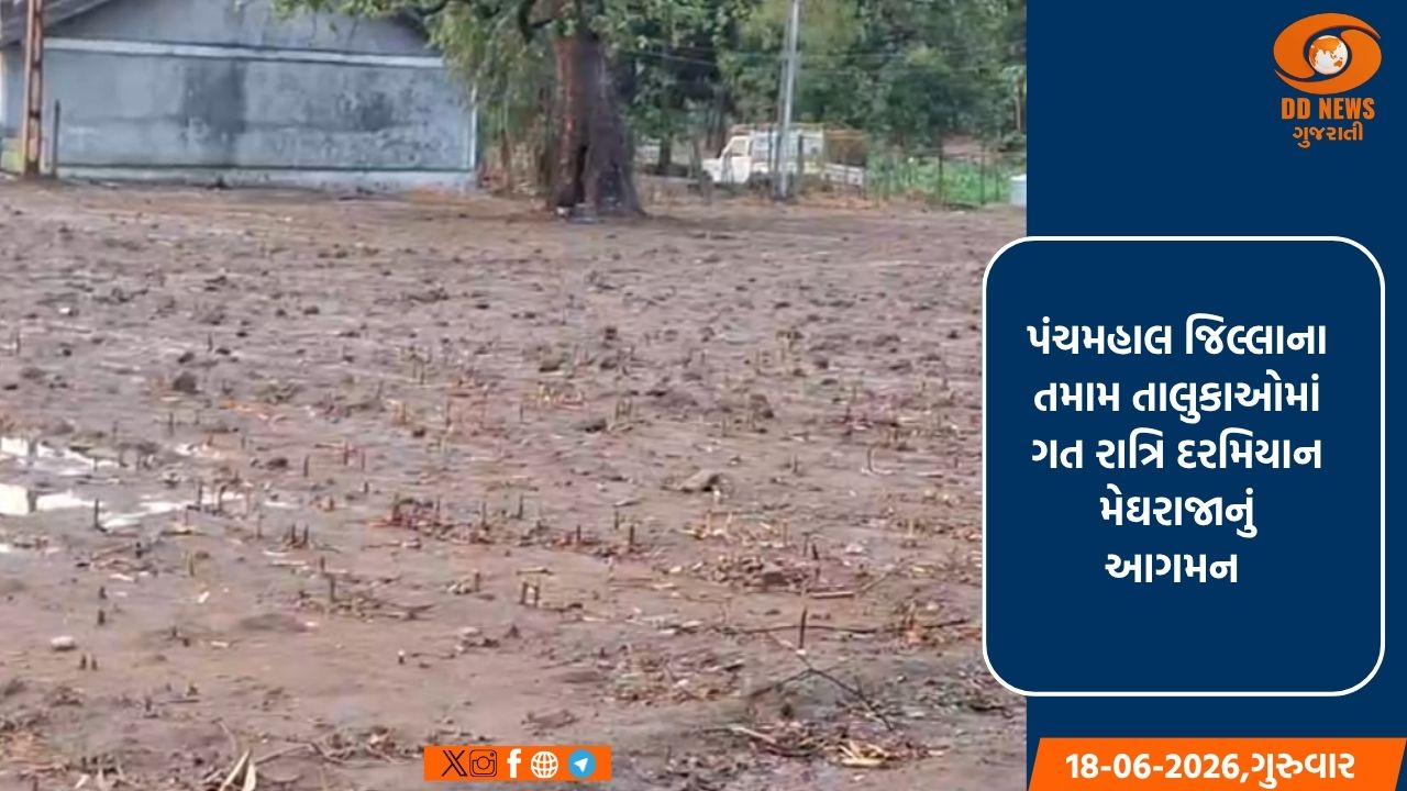 મેઘમહેર: પંચમહાલ જિલ્લામાં ગાજવીજ સાથે સાર્વત્રિક વરસાદ, ઘોઘંબા અને જાંબુઘોડામાં બે ઇંચ