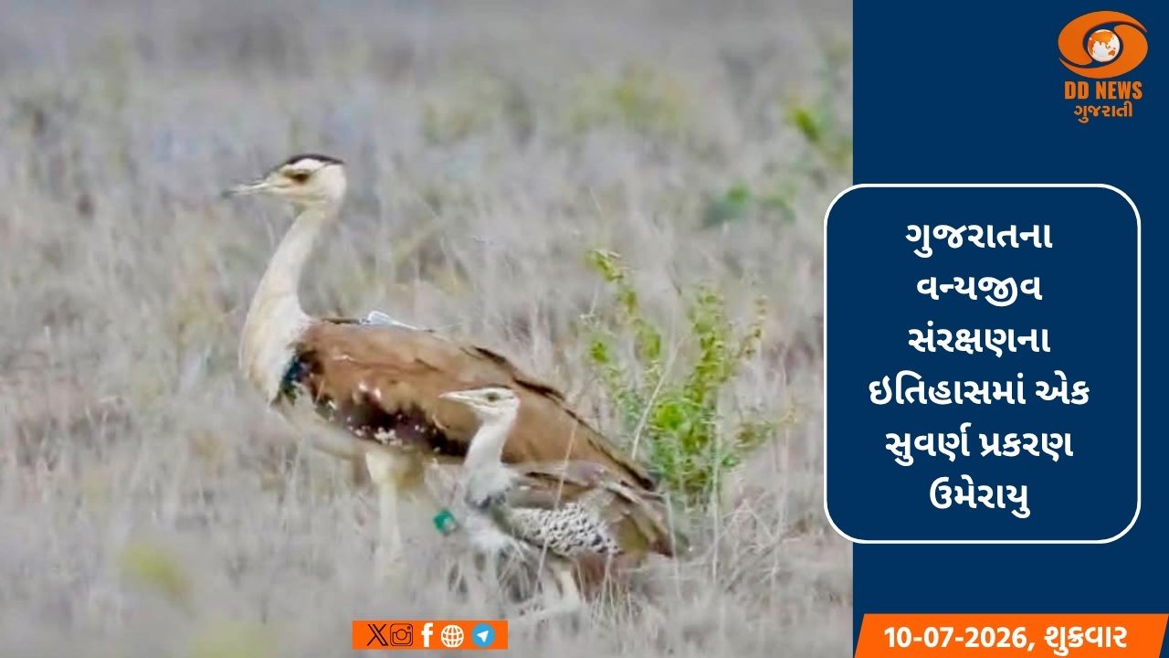 ગુજરાતના વન્યજીવ સંરક્ષણ ક્ષેત્રે ઐતિહાસિક સિદ્ધિ