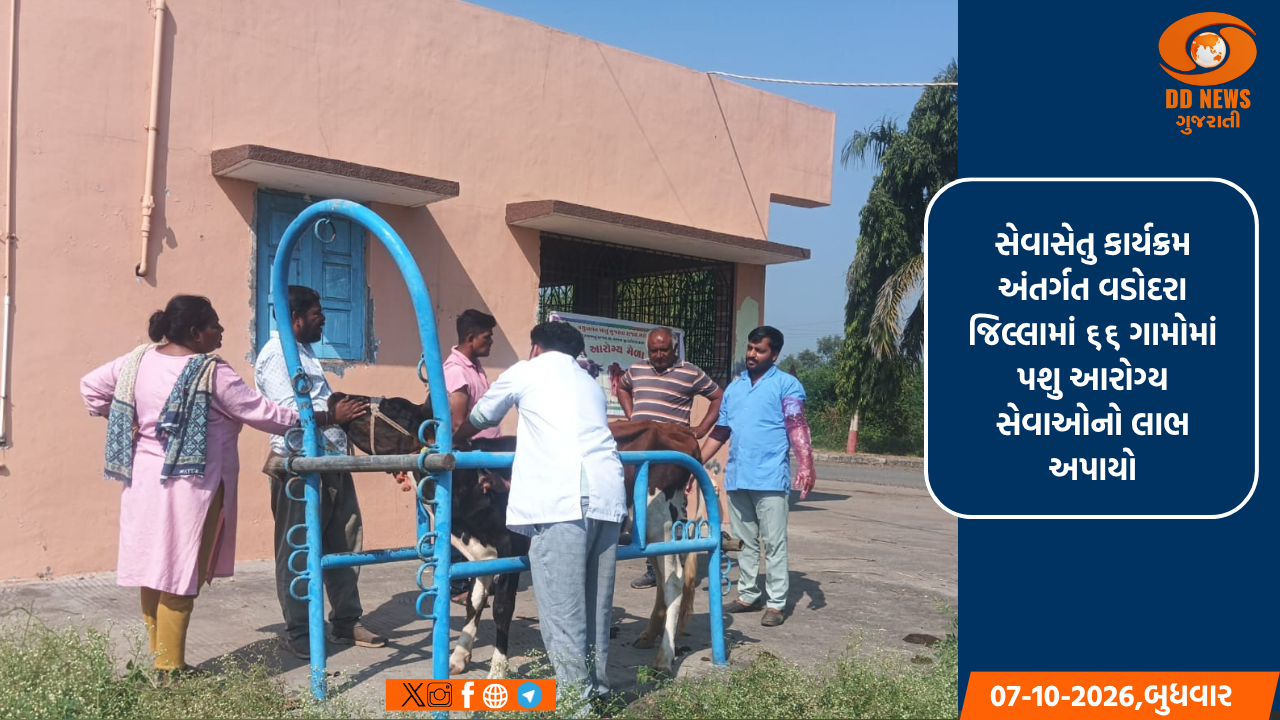 સેવાસેતુ કાર્યક્રમ અંતર્ગત વડોદરા જિલ્લામાં ૬૬ ગામોમાં પશુ આરોગ્ય સેવાઓનો લાભ અપાયો