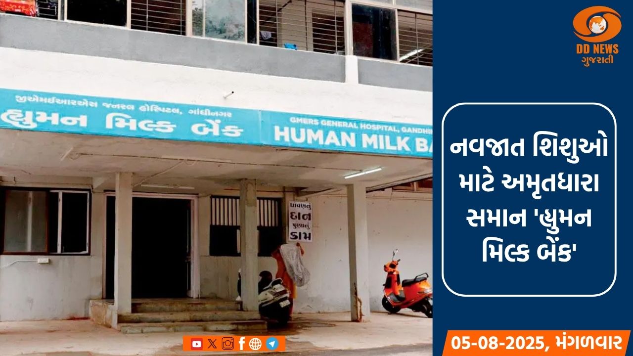 મહેસાણાની દૂધ સાગર ડેરીમાં વહીવટદારની નિમણૂંક કરાઇ 