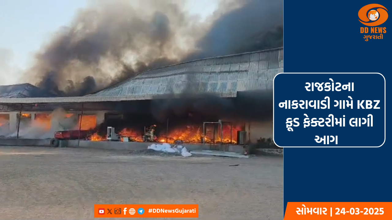 રાજકોટના નાકરાવાડી ગામે KBZ ફૂડ ફેક્ટરીમાં લાગી આગ 