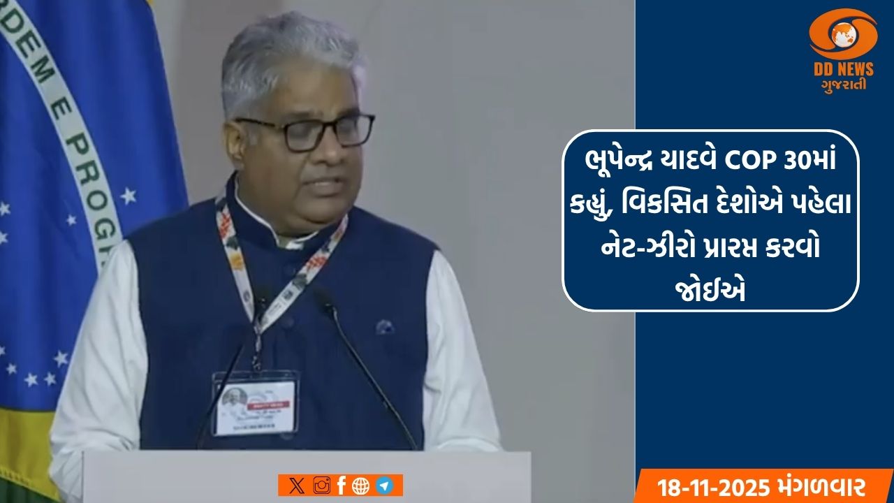 મસૂદ અઝહર મામલે રાહુલ ગાંધીએ કરેલા ટ્વિટ અંગે રવિશંકર પ્રસાદે કર્યો પ્રહાર 
