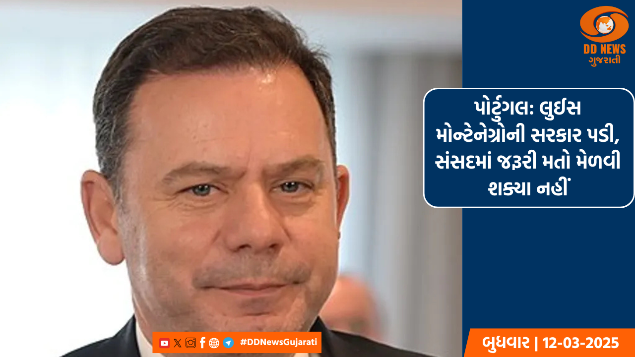 પોર્ટુગલ: લુઈસ મોન્ટેનેગ્રોની સરકાર પડી, સંસદમાં જરૂરી મતો મેળવી શક્યા નહીં