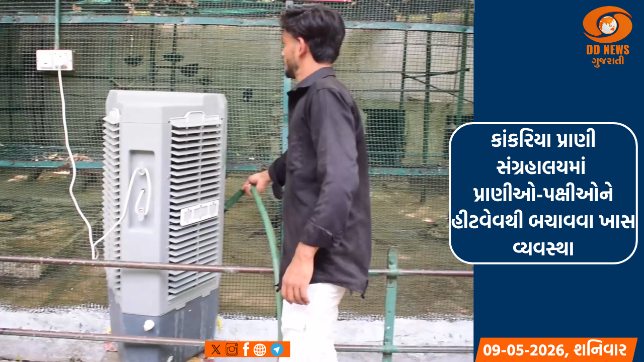 ભારતે બાંગ્લાદેશને હરાવીને SAFF U-19મહિલા ચેમ્પિયનશીપ જીતી લીધી 