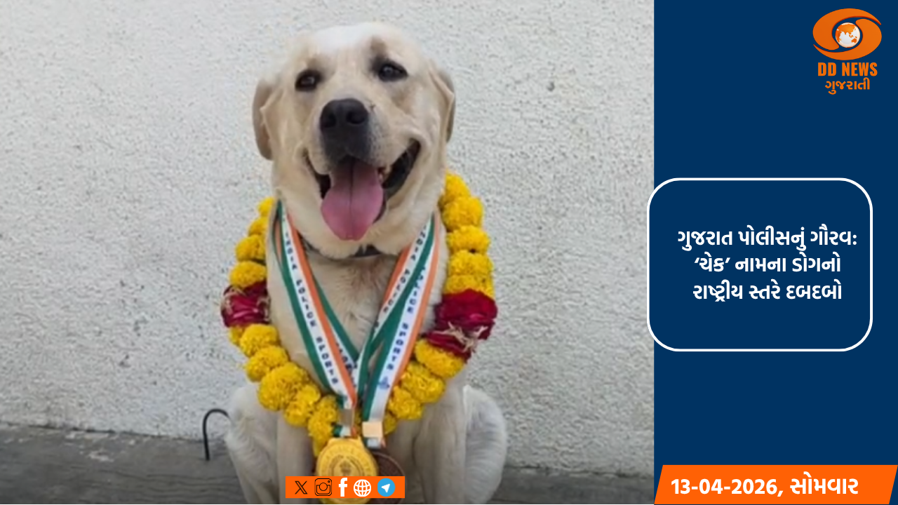 ગુજરાત પોલીસનું ગૌરવ: ‘ચેક’ નામના ડોગનો રાષ્ટ્રીય સ્તરે દબદબો, 16 વર્ષ બાદ જીત્યો ગોલ્ડ મેડલ