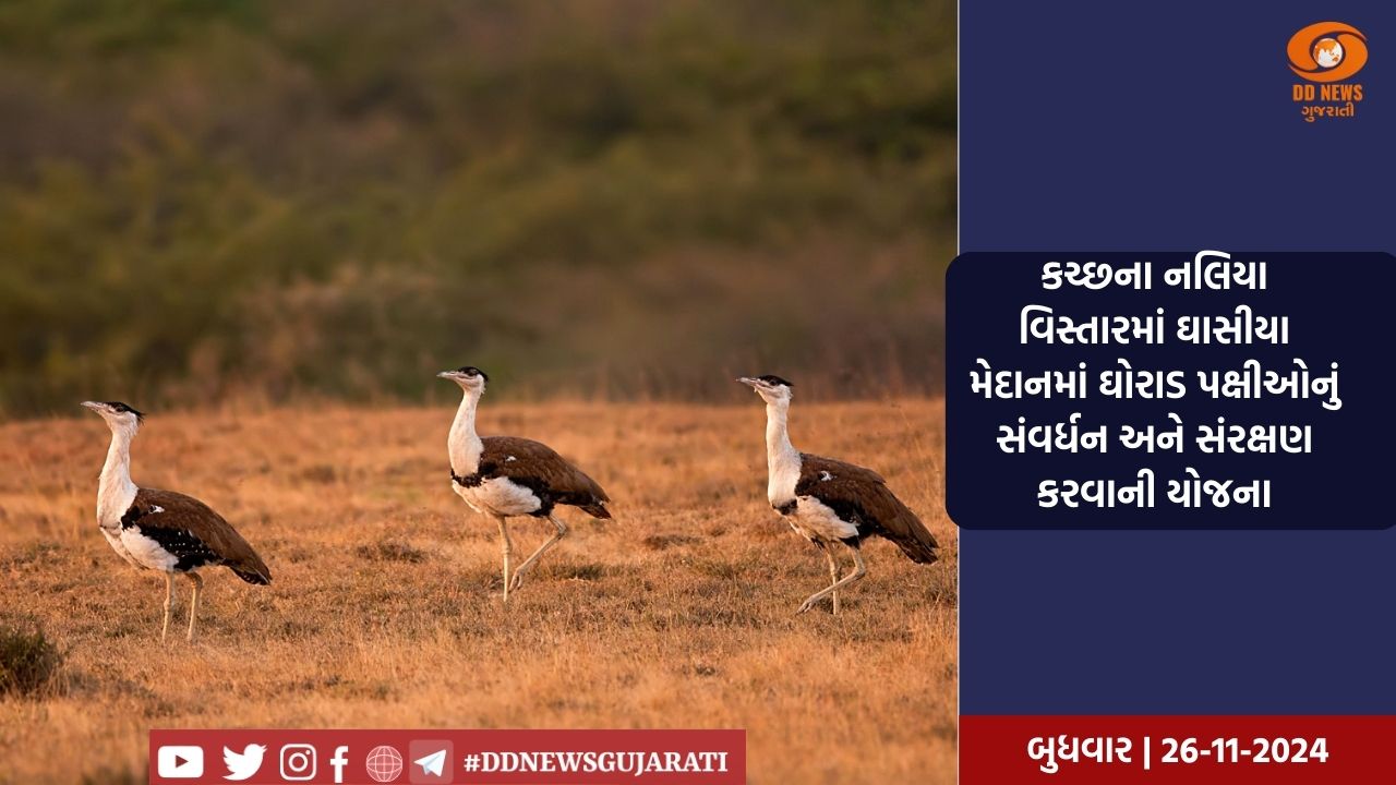  પ્રદેશ કાર્યાલય કમલમ્ ગાંધીનગર ખાતે એક દિવસીય કાર્યશાળાનું આયોજન