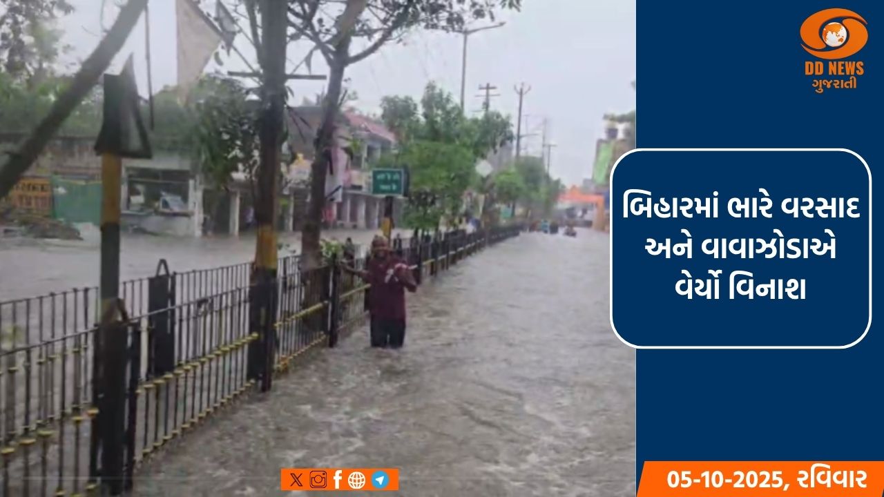 બિહારમાં ભારે વરસાદ અને વાવાઝોડાએ વેર્યો વિનાશ, વિજળી પડવાથી 10 લોકોના મોત