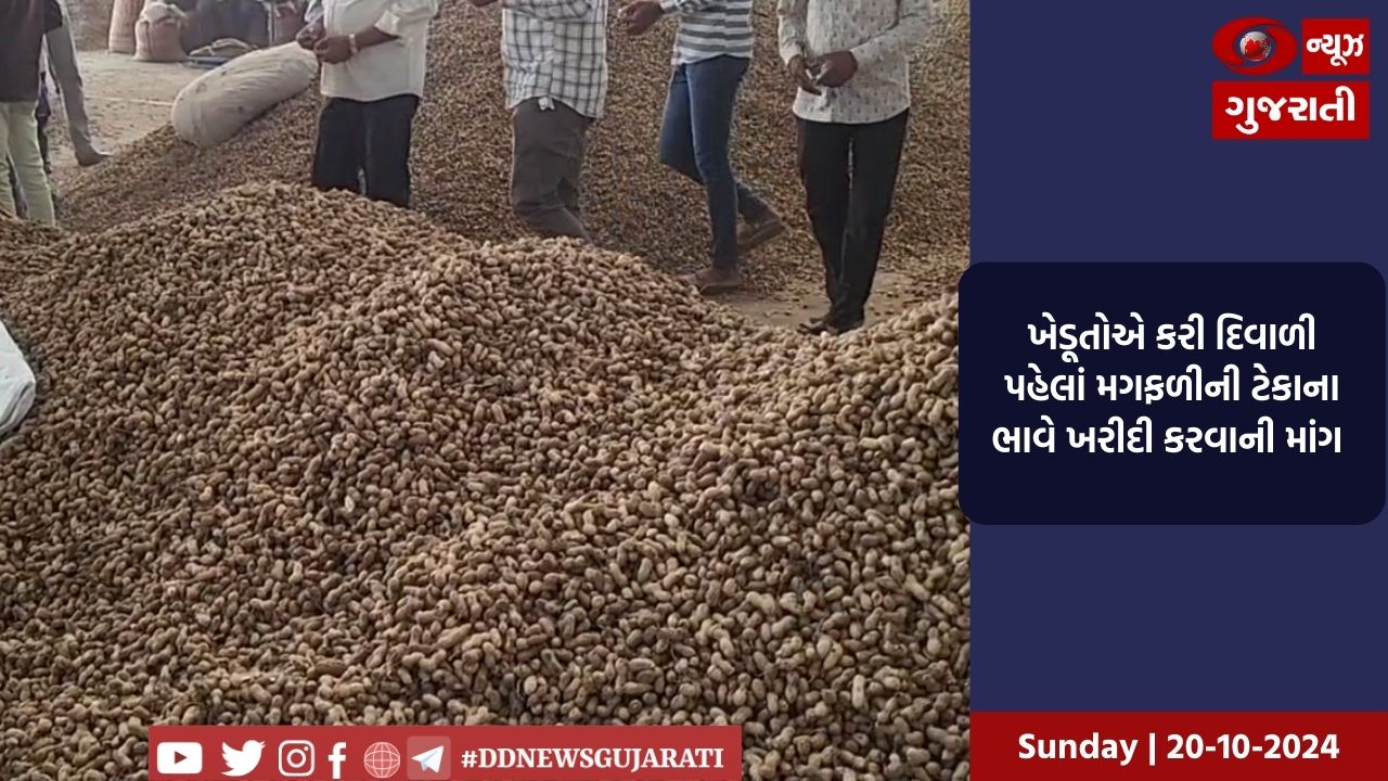 ખેડૂતોએ કરી દિવાળી પહેલાં મગફળીની ટેકાના ભાવે ખરીદી કરવાની માંગ 