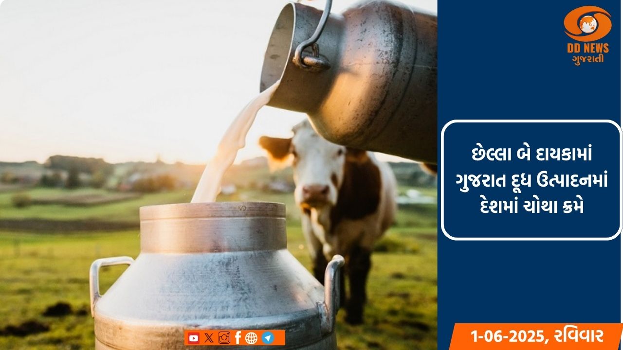 વિશ્વ દૂધ દિવસ: છેલ્લા બે દાયકામાં ગુજરાત દૂધ ઉત્પાદનમાં 11.8 મિલિયન ટનના અભૂતપૂર્વ વધારા સાથે દેશમાં ચોથા ક્રમે