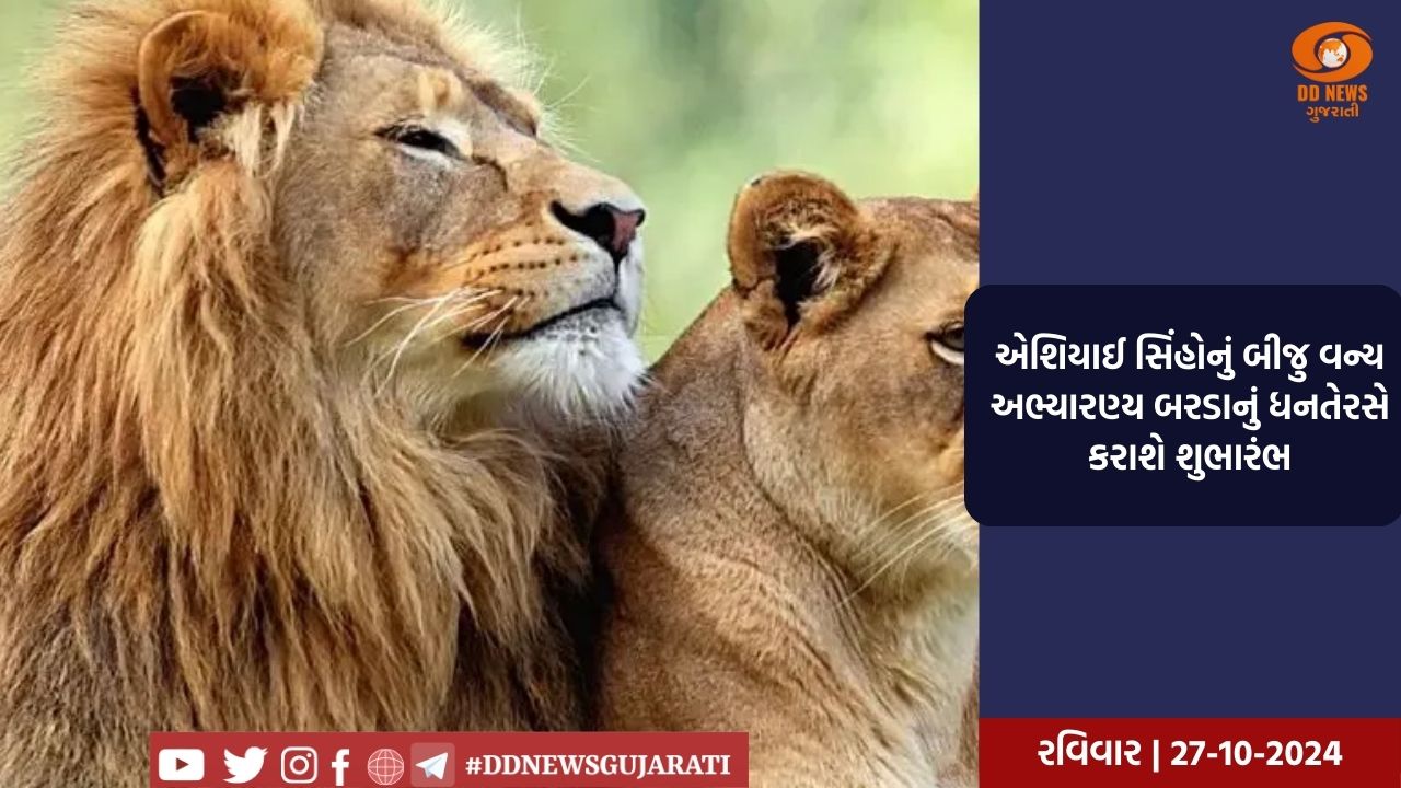  રાજ્યમાં અનેક જિલ્લામાં વરસાદની એન્ટ્રી