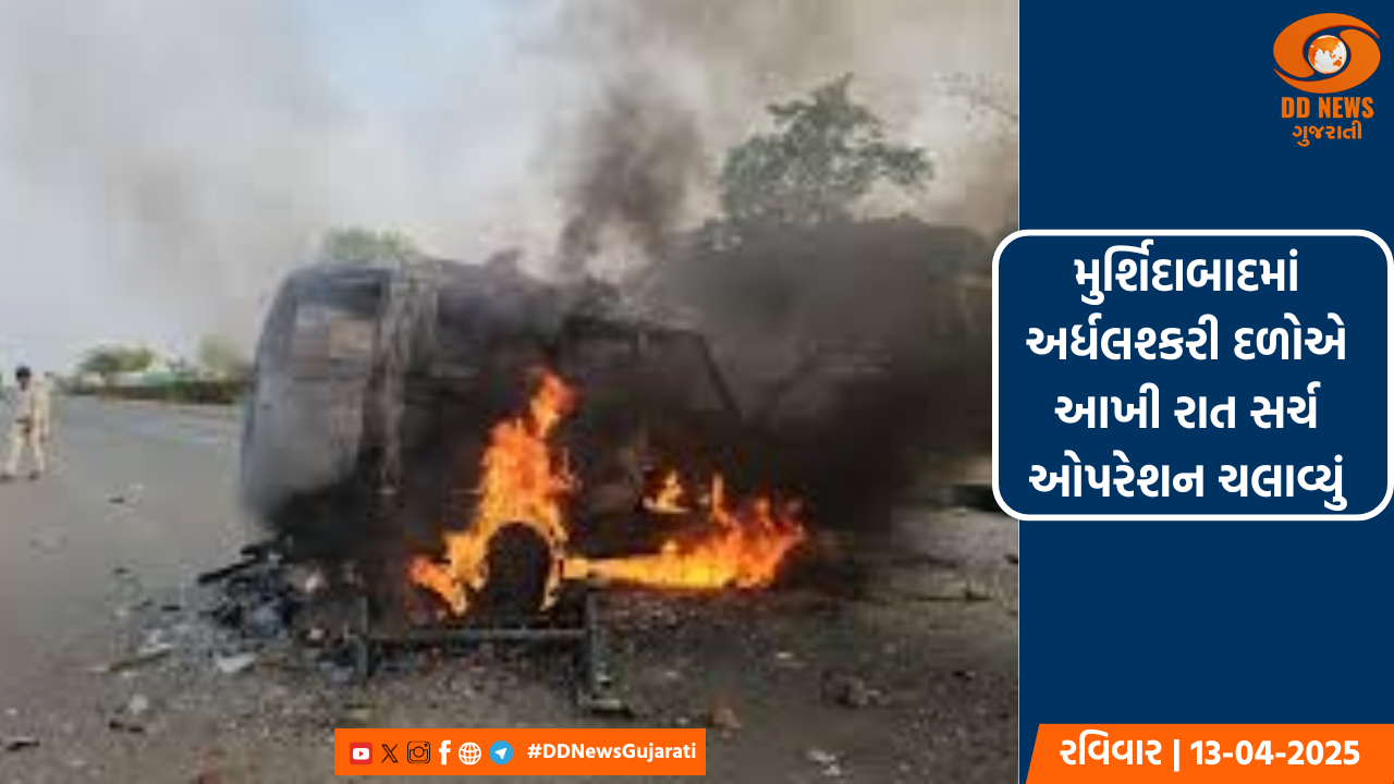 જાણો શા માટે ઉજવવામાં આવે છે વિશ્વ મધમાખી દિવસ
