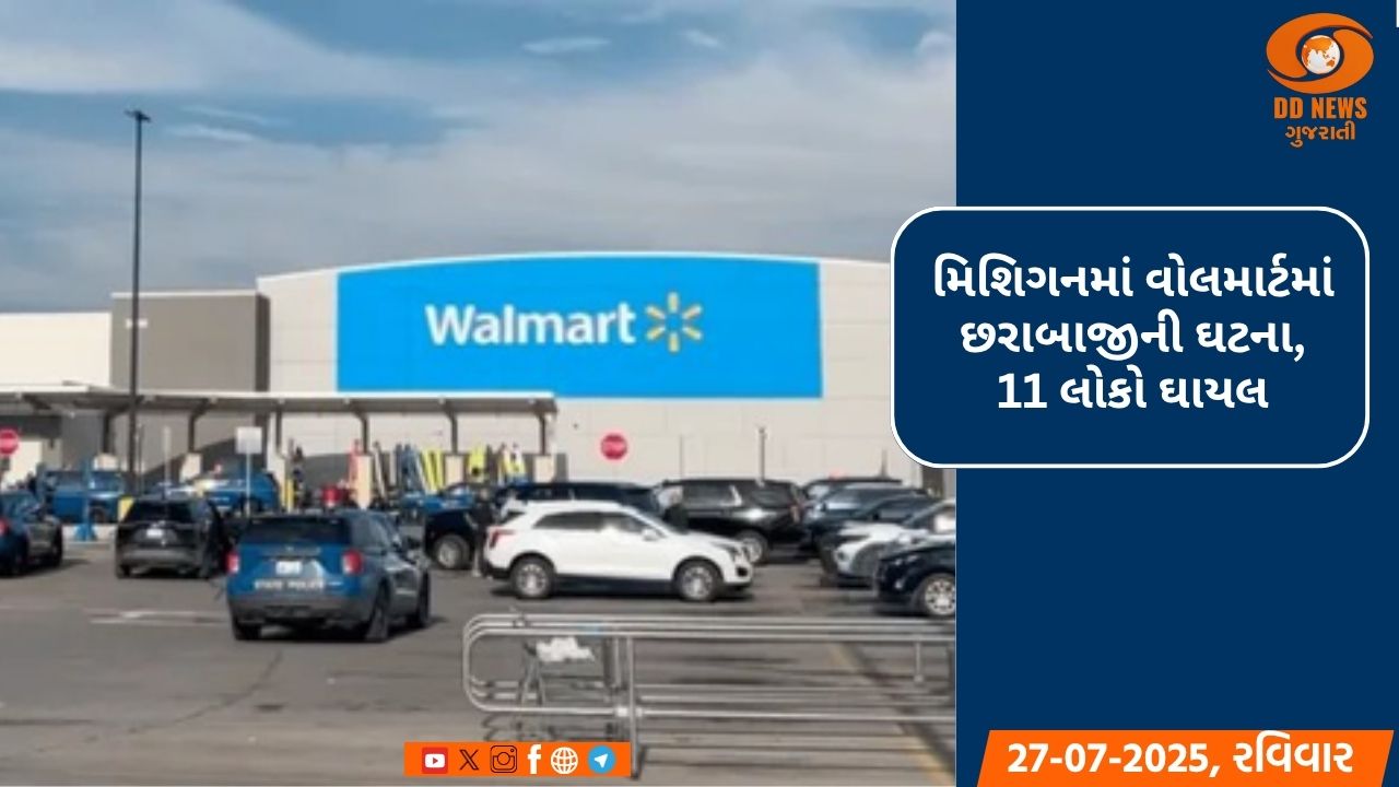 પાકિસ્તાન દરેક વખતે આતંકીઓને છાવરે છે: વિદેશ મંત્રી