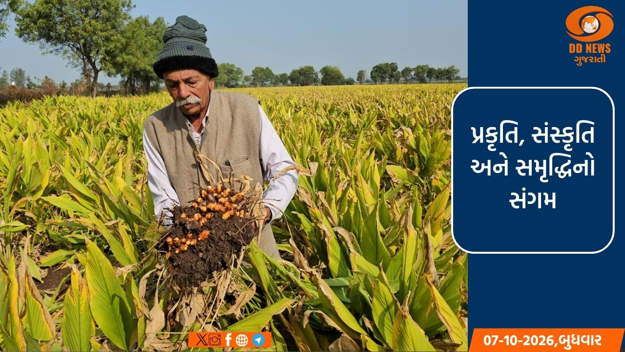પ્રાકૃતિક કૃષિથી પકવેલી હળદરનું મૂલ્યવર્ધન કરી કાળુભાઈએ ખેત-પેદાશની 'બ્રાન્ડ' બનાવી