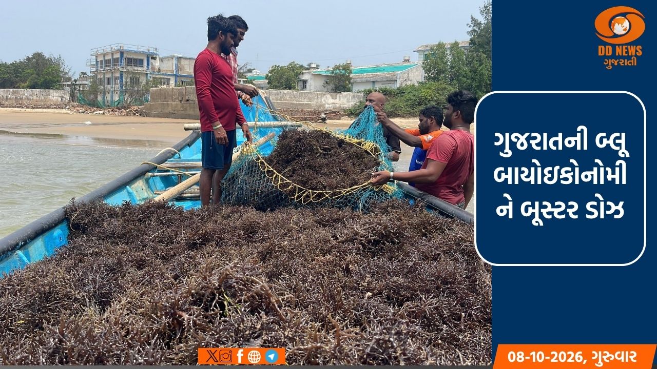 પોરબંદરના મોચા ખાતે રૂ. 100 કરોડના ખર્ચે મરિન બાયોટેકનોલોજી કોરિડોર વિકસાવાશે