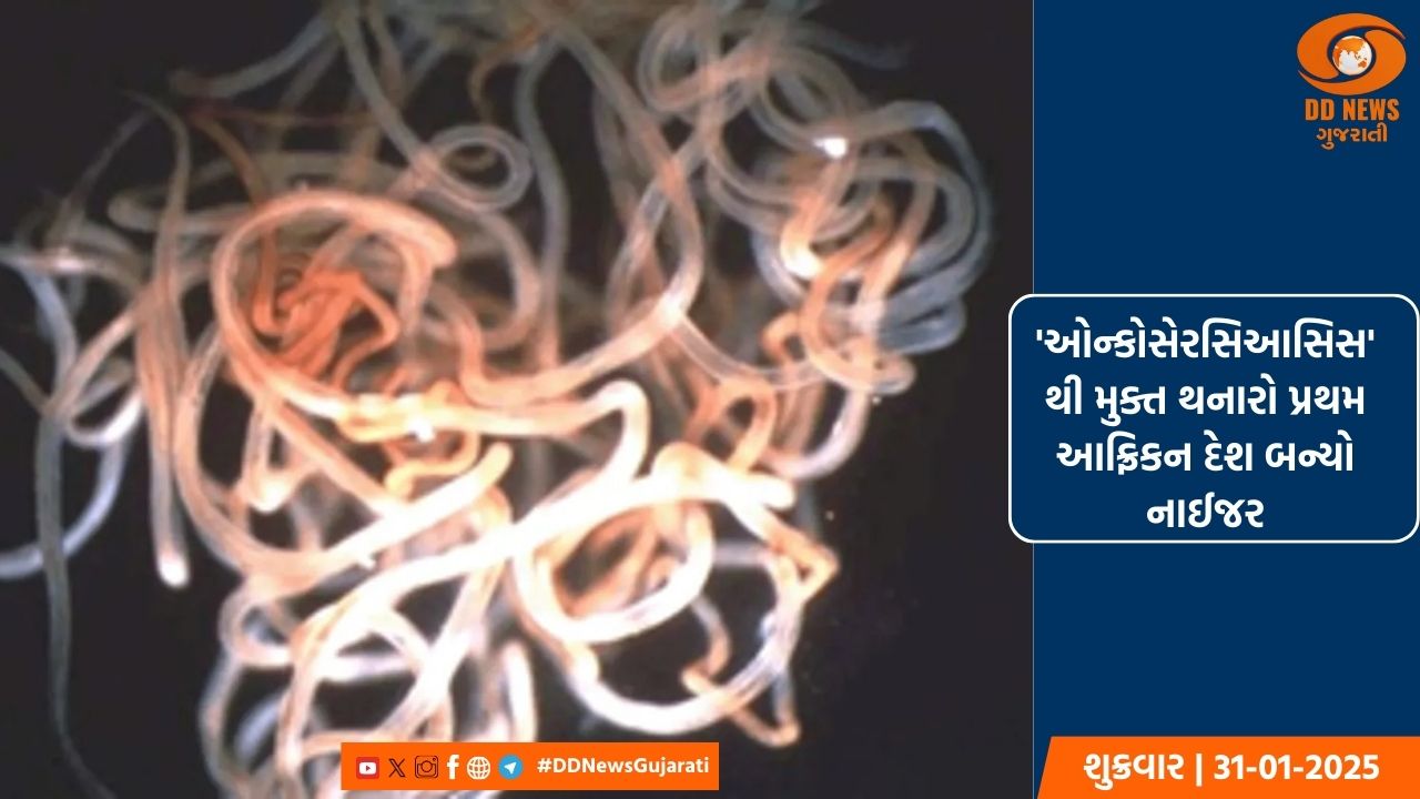 'ઓન્કોસેરસિઆસિસ'થી મુક્ત થનારો પ્રથમ આફ્રિકન દેશ બન્યો નાઈજર