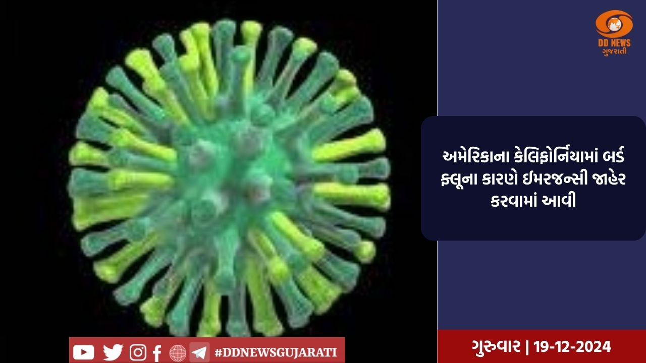 અમેરિકાના કેલિફોર્નિયામાં બર્ડ ફ્લૂના કારણે ઈમરજન્સી જાહેર કરવામાં આવી
