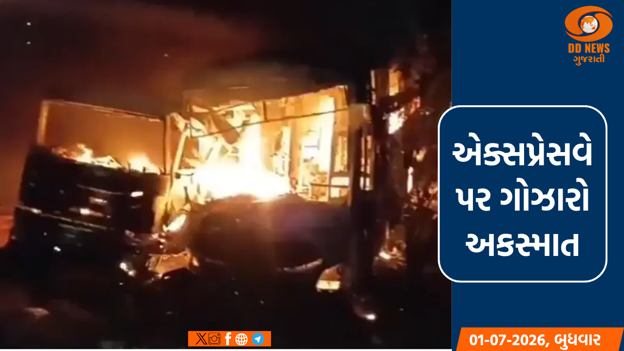 દિલ્હી-મુંબઈ એક્સપ્રેસવે પર બસ-ટ્રકની ટક્કરમાં 8 લોકોના સળગી જતાં મોત
