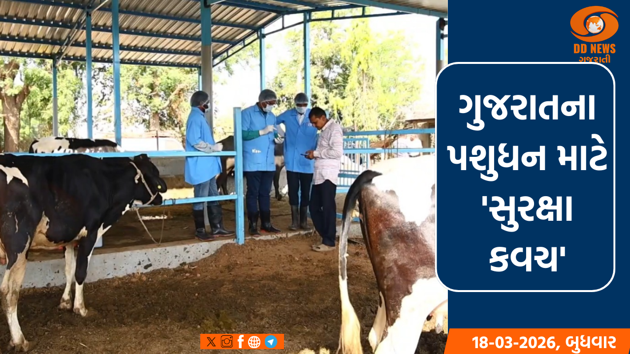 3 કરોડથી વધુ પશુઓનું 'ખરવા-મોવાસા' મુક્ત કરવા રેકોર્ડબ્રેક રસીકરણ કરાયું