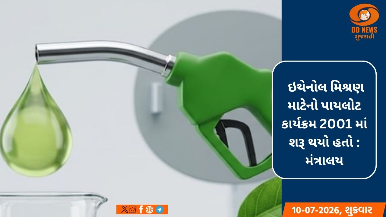 ભારતમાં E20 ઇંધણનો ઉતાવળમાં અમલ થયો નથી; વર્ષોની ચકાસણી બાદ નિર્ણય લેવામાં આવ્યો: સરકાર