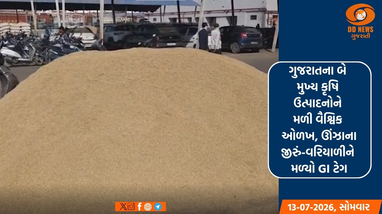 ગુજરાતના બે મુખ્ય કૃષિ ઉત્પાદનોને મળી વૈશ્વિક ઓળખ, ઊંઝાના જીરું-વરિયાળીને મળ્યો GI ટેગ