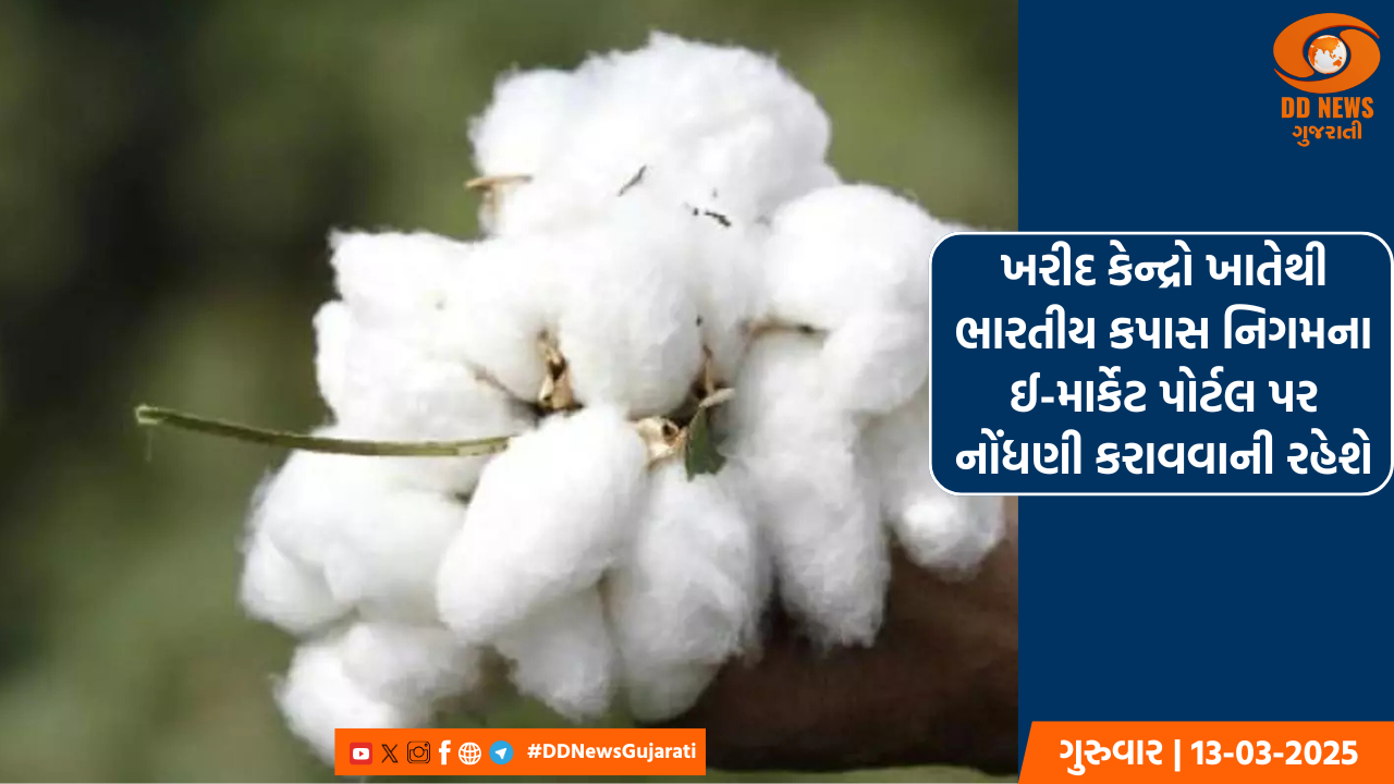 ટેકાના ભાવે કપાસનું વેચાણ કરવા ખેડૂતોએ 15 માર્ચ સુધીમાં નોંધણી કરાવા અપીલ