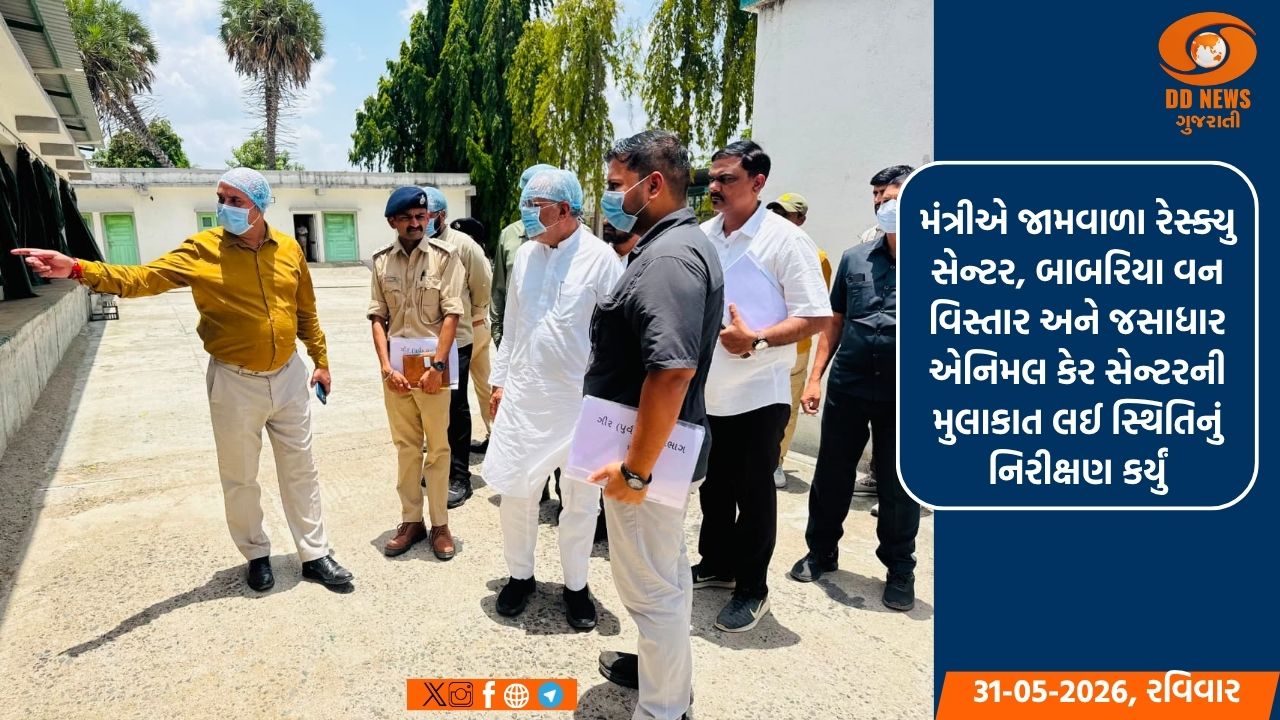 મંત્રી અર્જુન મોઢવાડિયાએ ગીરની મુલાકાત લીધી: એશિયાઈ સિંહોમાં સંક્રમણની સ્થિતિની સમીક્ષા કરી