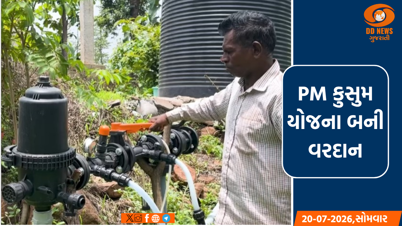 આદિવાસી ખેડૂતો સરકારની સહાયથી બારેમાસ મબલખ પાક લેતા થયા