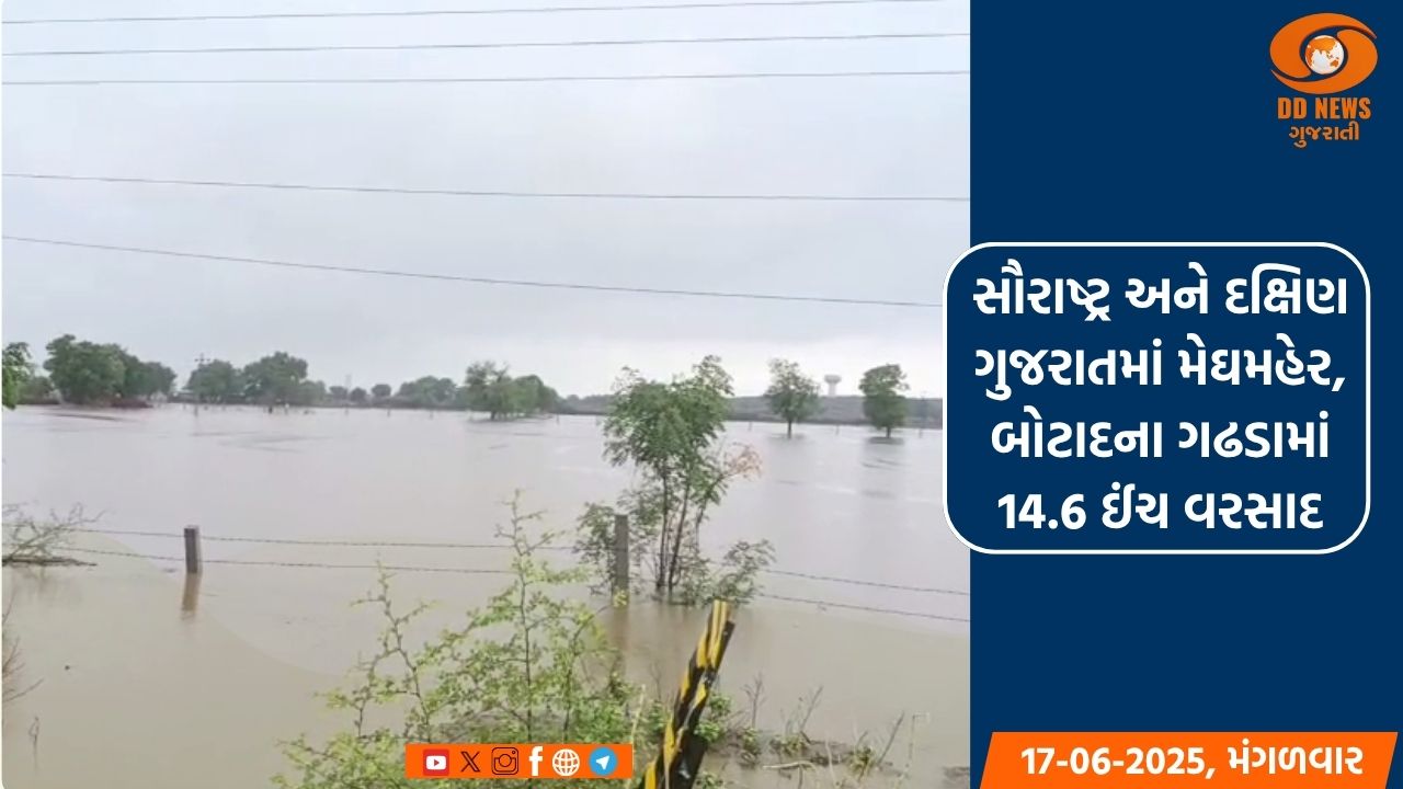 સમગ્ર રાજ્યના વાતાવરણમાં પલટો, અનેક વિસ્તારોમાં પવન સાથે વરસાદ