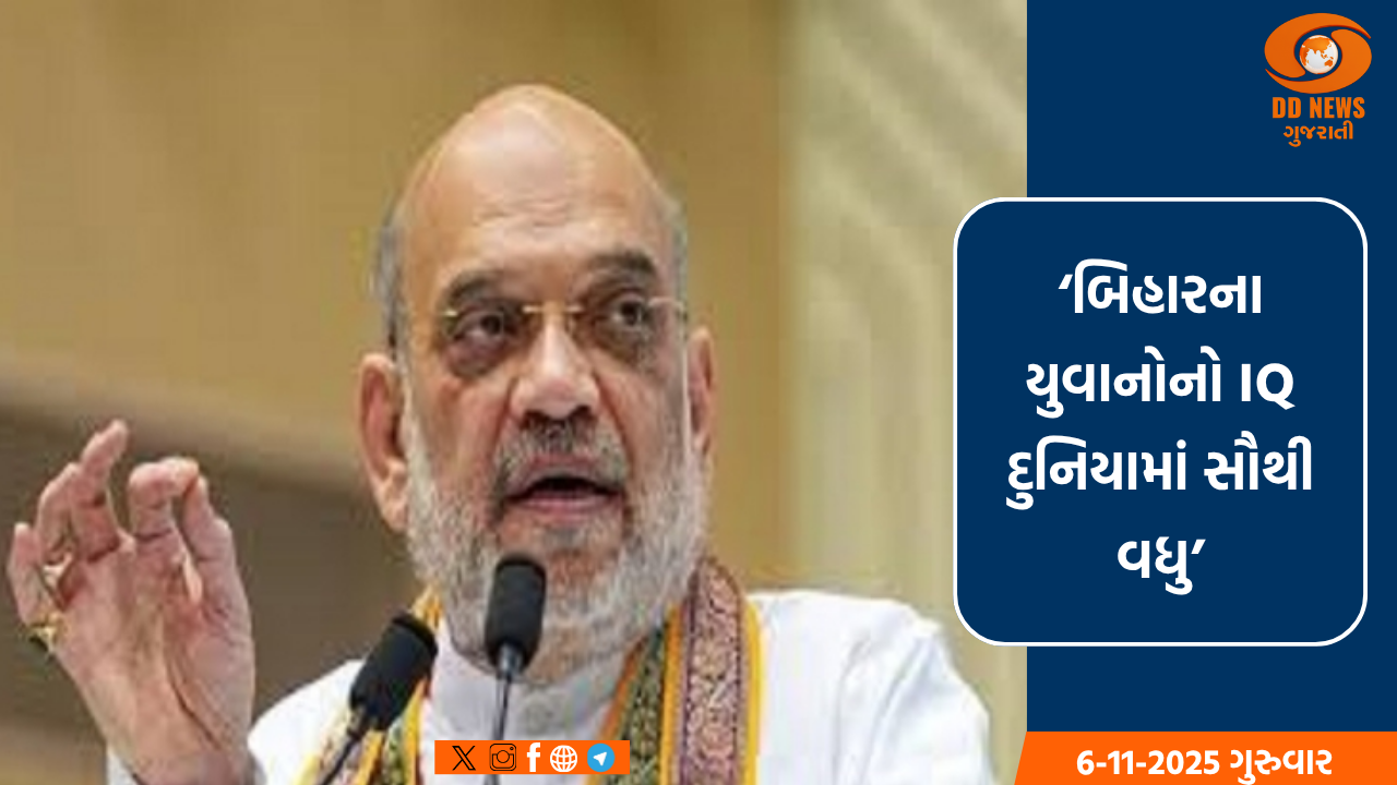 અમિત શાહે મધ્ય પ્રદેશમાં કર્યો ચૂંટણી પ્રચાર, 2 સ્થળે જનસભા ગજવી