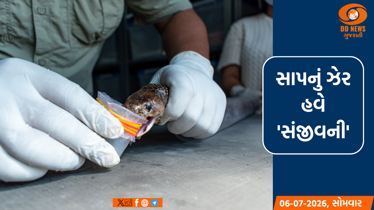 સર્પદંશથી થતાં મૃત્યુ ઘટાડવા હવે સ્થાનિક સાપોના ઝેરમાંથી બનશે રસી