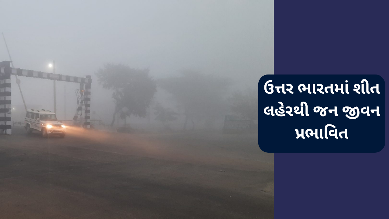 ઉત્તર ભારતમાં શીત લહેરથી જનજીવન પ્રભાવિત, અનેક શહેરમાં 30 મીટરથી ઓછી વિઝિબિલિટીથી વાહન ચાલકો પરેશાન