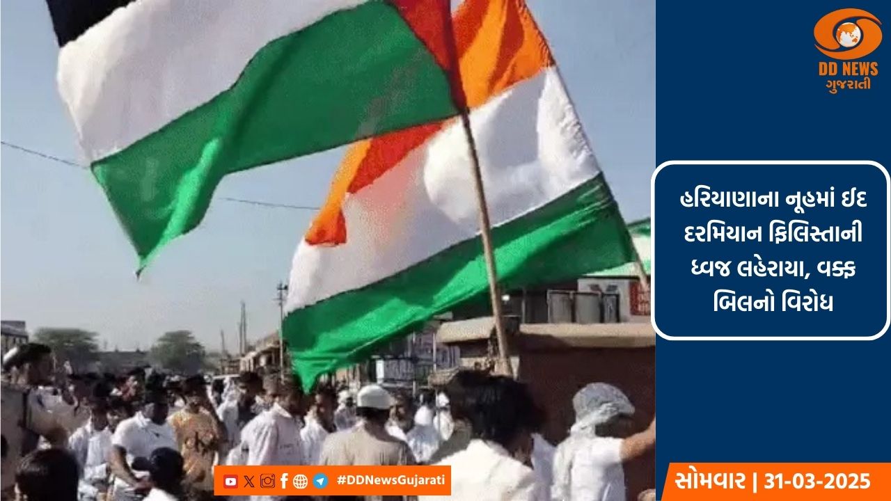 હરિયાણાના નૂહમાં ઈદ દરમિયાન ફિલિસ્તાની ધ્વજ લહેરાયા, વક્ફ બિલનો વિરોધ