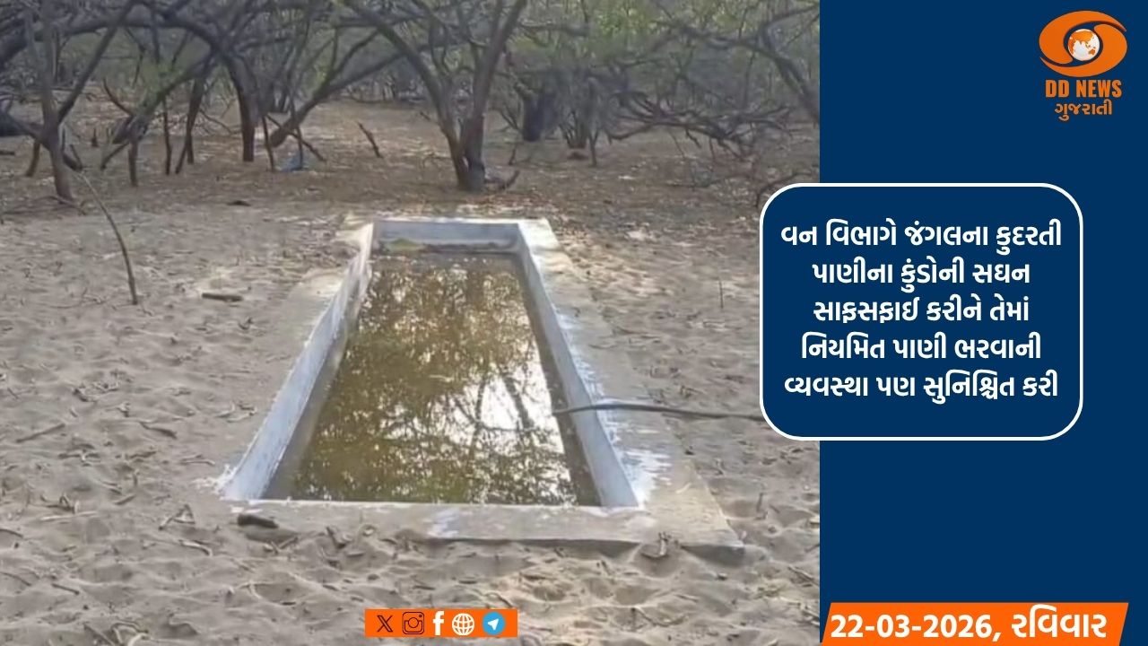 કાળઝાળ ઉનાળામાં ગીરમાં જીવદયા: વન વિભાગે ઉભા કર્યા પાણીના પોઈન્ટ, સિંહ-દીપડાઓને મળી રાહત