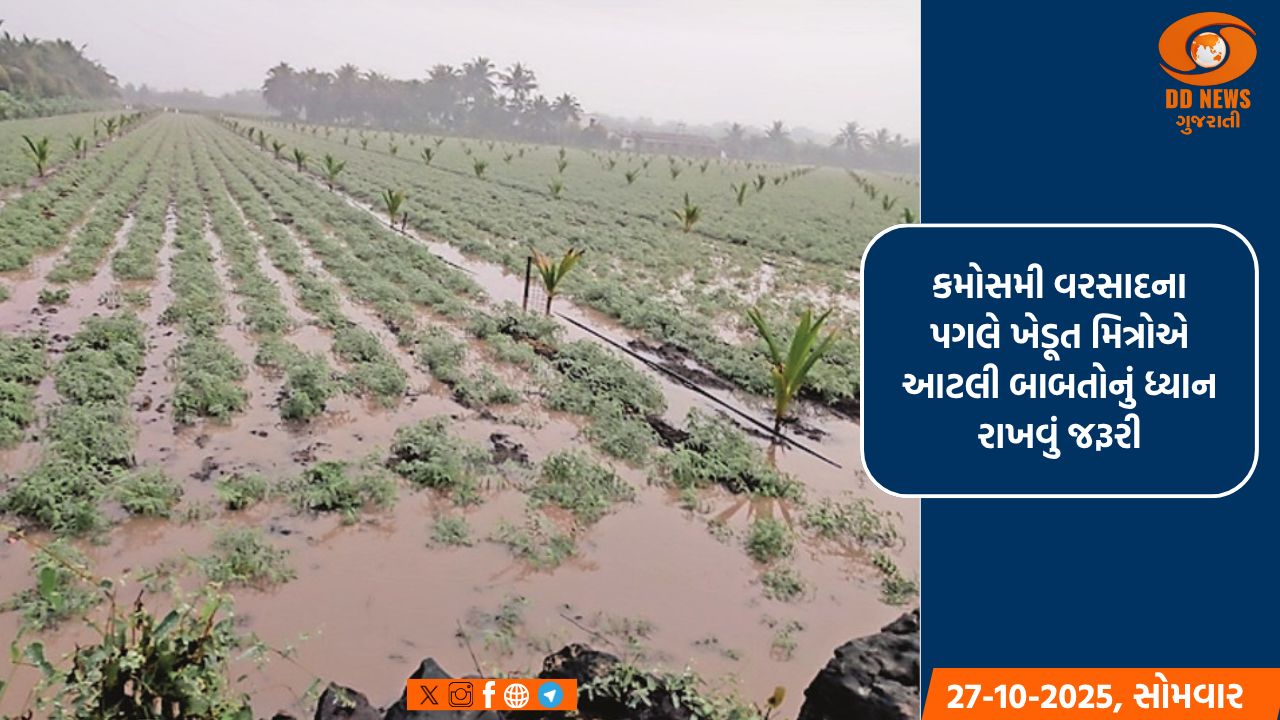 રાજ્યનાં 6 શહેરોમાં ગરમીનો પારો 40 ડિગ્રીને પાર, બે દિવસ બાદ મહત્તમ તાપમાન 2 થી 3 ડિગ્રી વધવાની શક્યતા
