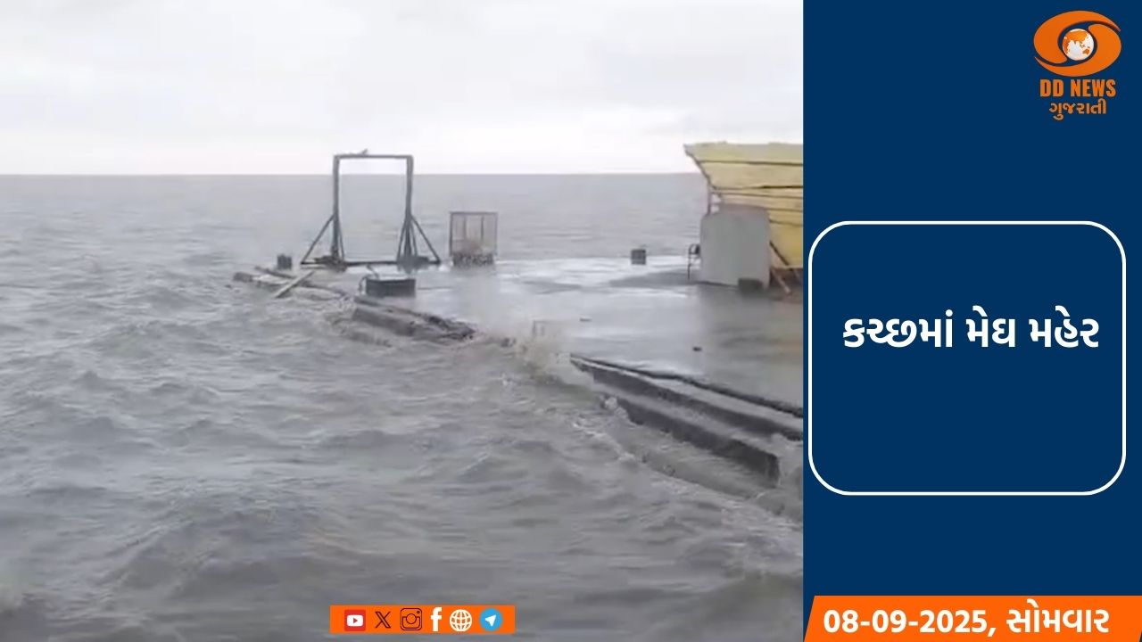 કચ્છમાં મેઘ મહેર: 9 ડેમ ઓવરફ્લો, જળબંબાકારની સ્થિતિ