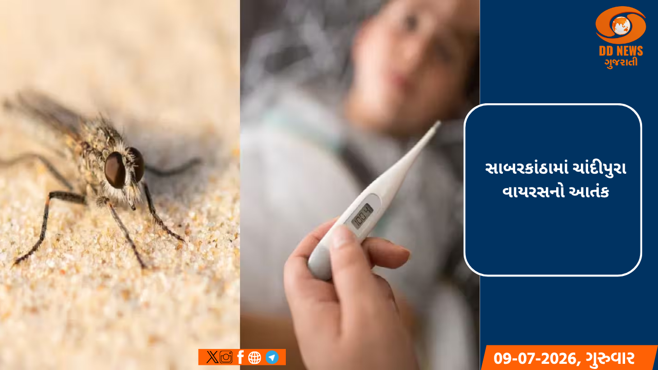 સાબરકાંઠામાં ચાંદીપુરા વાયરસનો આતંક