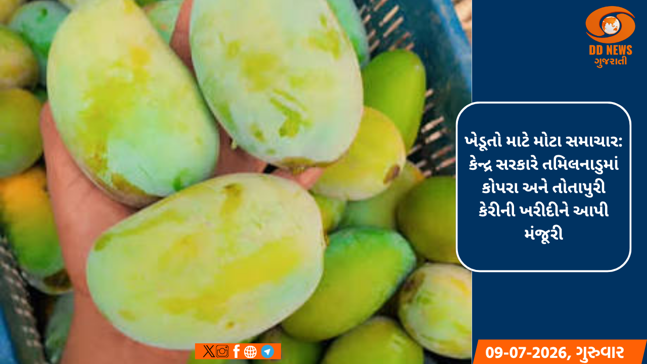 ખેડૂતો માટે મોટા સમાચાર: કેન્દ્ર સરકારે તમિલનાડુમાં કોપરા અને તોતાપુરી કેરીની ખરીદીને આપી મંજૂરી