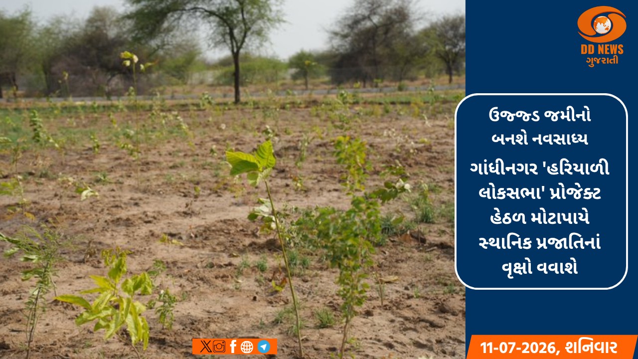 ગાંધીનગર 'હરિયાળી લોકસભા' પ્રોજેક્ટ હેઠળ મોટાપાયે સ્થાનિક પ્રજાતિનાં વૃક્ષો વવાશે