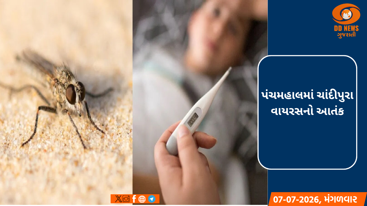 પંચમહાલમાં ચાંદીપુરા વાયરસનો આતંક
