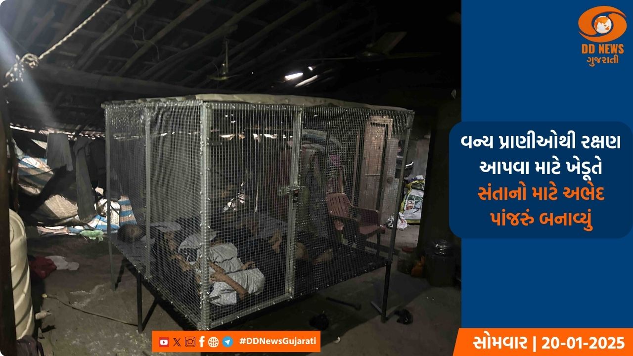ખેડૂતોએ વન્ય પ્રાણીઓથી સંતાનોને સુરક્ષિત રાખવા માટે નવતર પ્રયોગ અપનાવ્યો