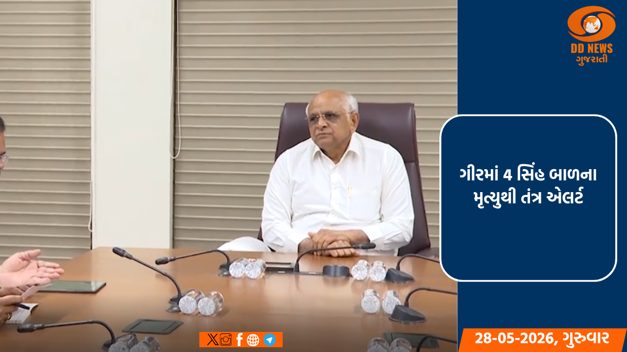 ગીરમાં 4 સિંહ બાળના મૃત્યુથી તંત્ર એલર્ટ: CM ભૂપેન્દ્ર પટેલે યોજી હાઈ-લેવલ બેઠક