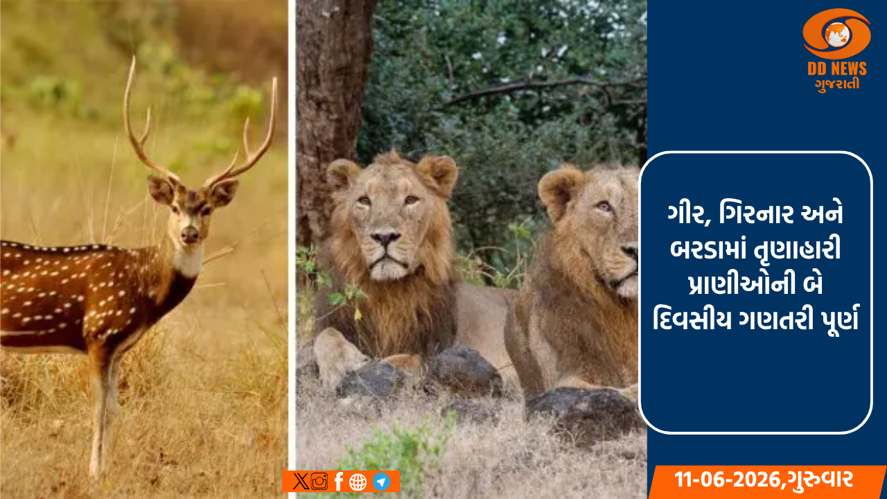 ગીર, ગિરનાર અને બરડામાં તૃણાહારી પ્રાણીઓની બે દિવસીય ગણતરી પૂર્ણ